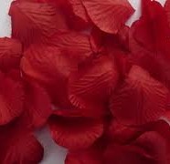 Decorazione petali rosa rossa Leonardo